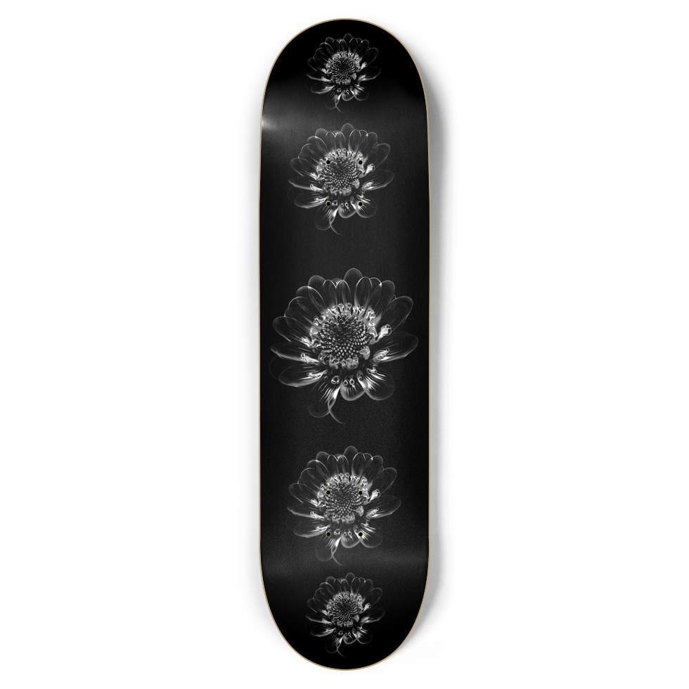 Custom Skateboard